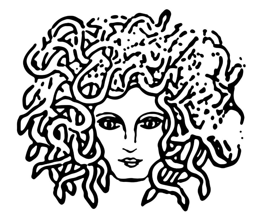 Medusa Duomo Guest House Napoli Esterno foto